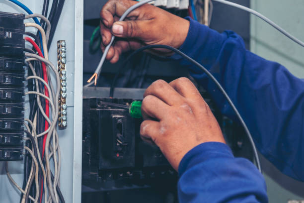 Best Affordable Electrician  in Grant, AL